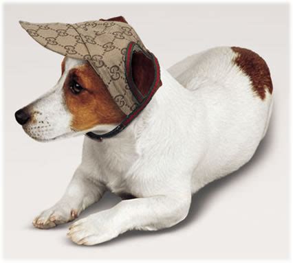 gucci hat for dogs|Gucci dog hat .